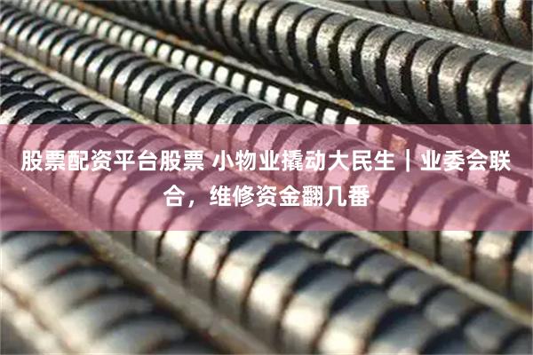 股票配资平台股票 小物业撬动大民生｜业委会联合，维修资金翻几番